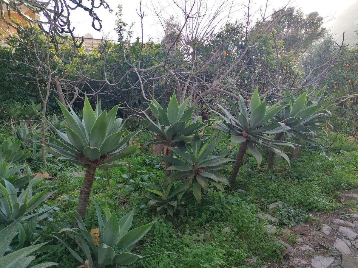 Villa Africa Capaci Bagian luar foto